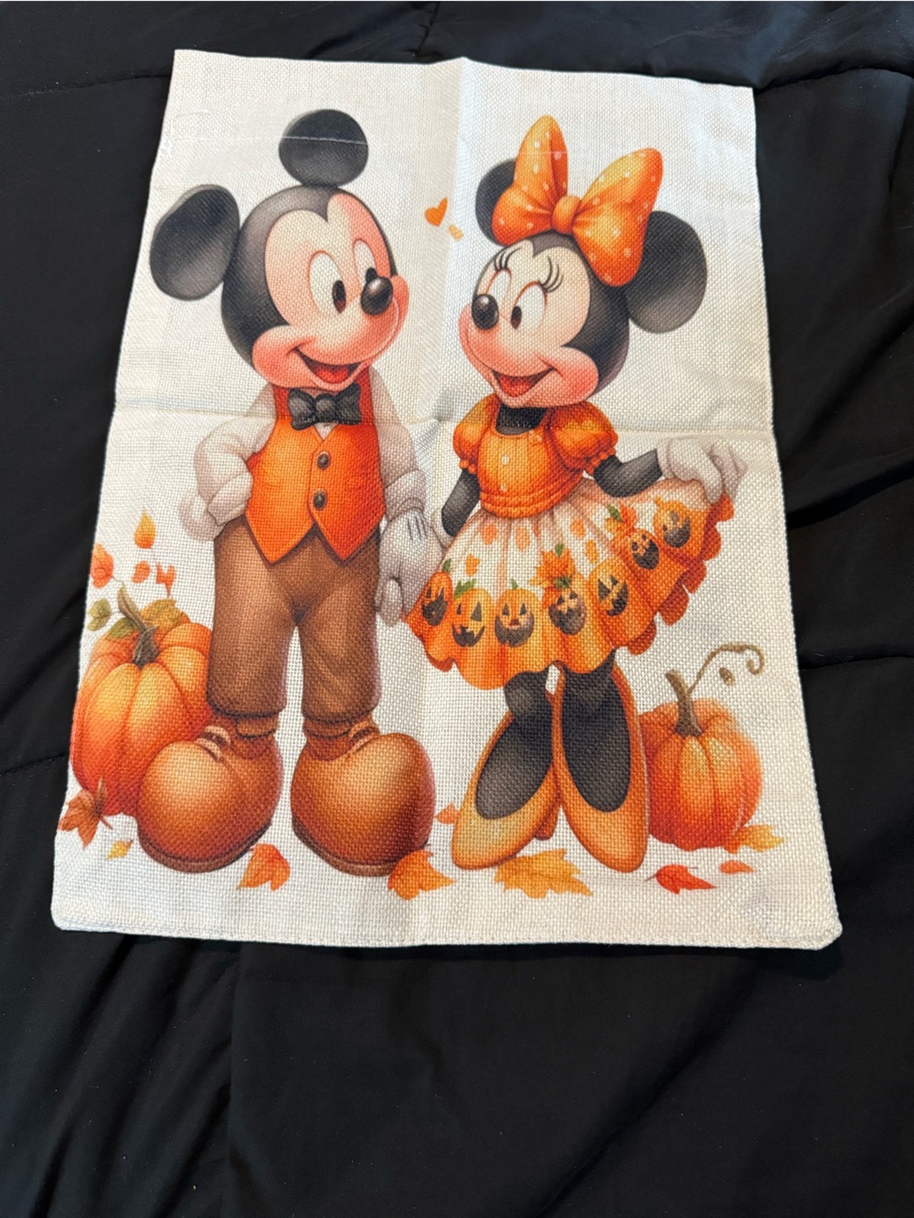 Fall Mickey & Minnie Flag - Picture 5 of 8